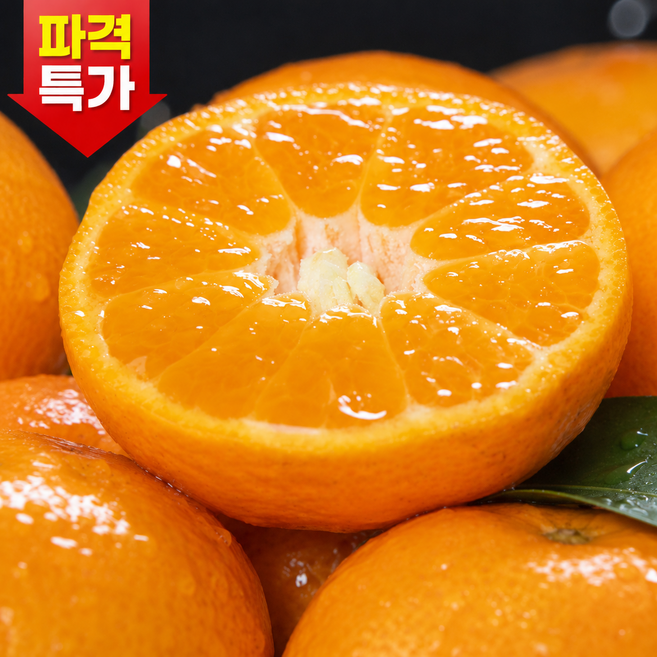 [파격특가] 고당도 윤스푸드 제주도 감귤, 1박스, 5kg