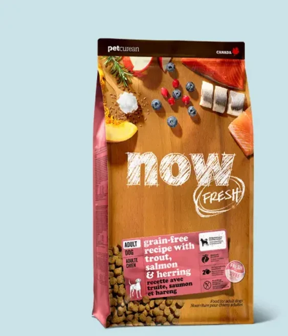 나우 피쉬 올브리드 어덜트, 연어, 9.98kg, 1개