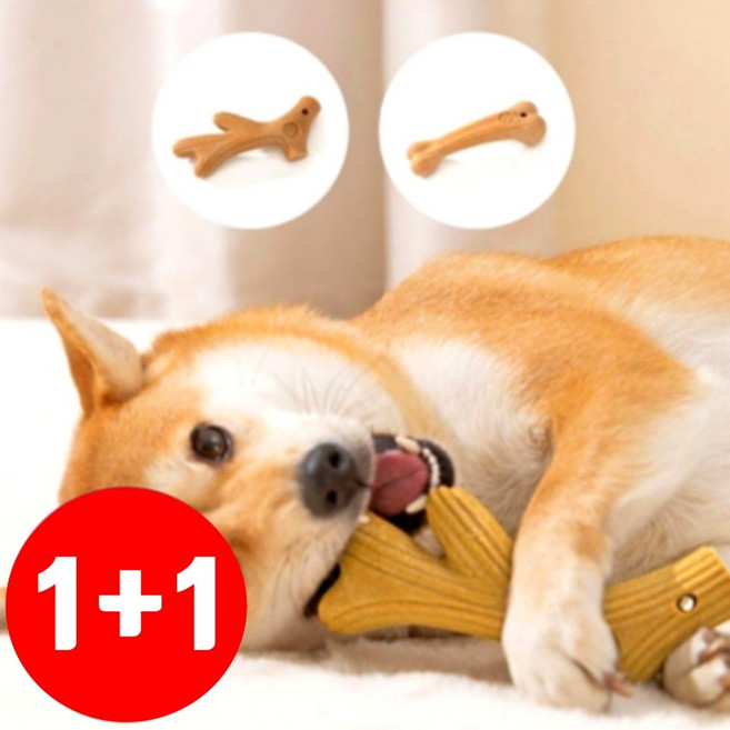 알로페로 강아지 프리미엄 이갈이 우드스틱 장난감 뿔모양+뼈다귀모양, 1세트, 브라운