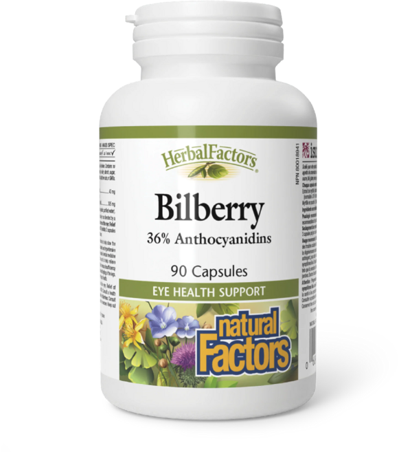 내추럴팩터스 눈영양제 빌베리 Bilberry 90캡슐 1-3개월분, 1개, 90정