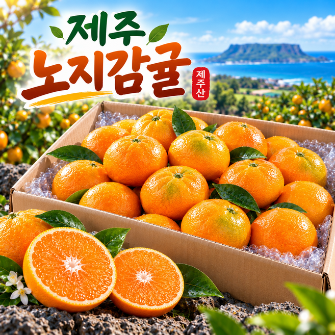[타임특가] 최대15brix 상큼달콤 꿀당도 제주감귤, 1박스, 5kg(중대과)