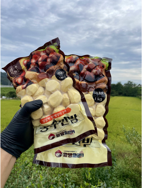 공주 신선깐밤 햇밤 산지직송 당일작업, 1kg, 1개, 깐밤