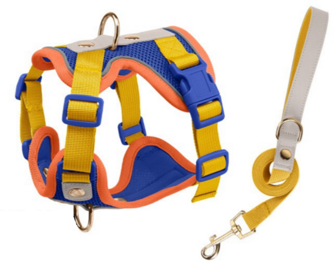 스노우윙 편안한 메쉬 강아지하네스, 비비드 블루오렌지