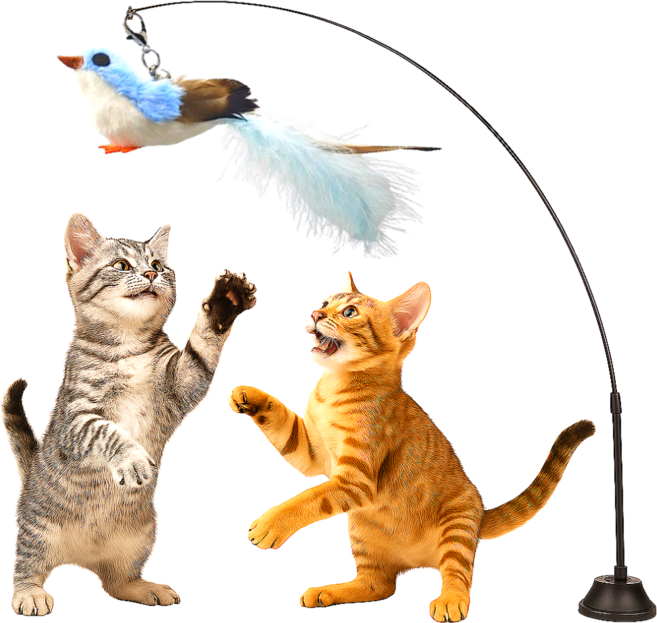 스마일플로우 진짜같은 긴꼬리새 낚시대 풀세트 고양이 최애 튼튼 고정 장난감, 1세트, 하늘꼬리 새