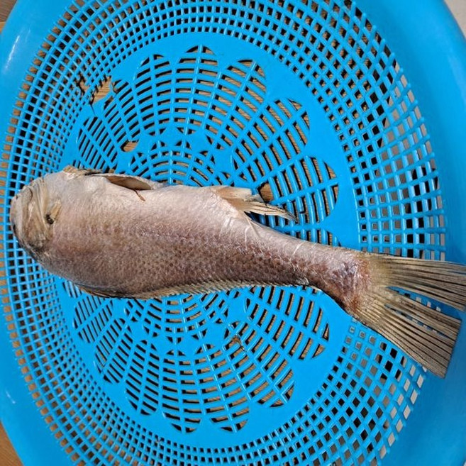 손질반건조냉동 제수용 침조기긴가이석태40cm 1마리 손질 37~40cm 침조기, 1개