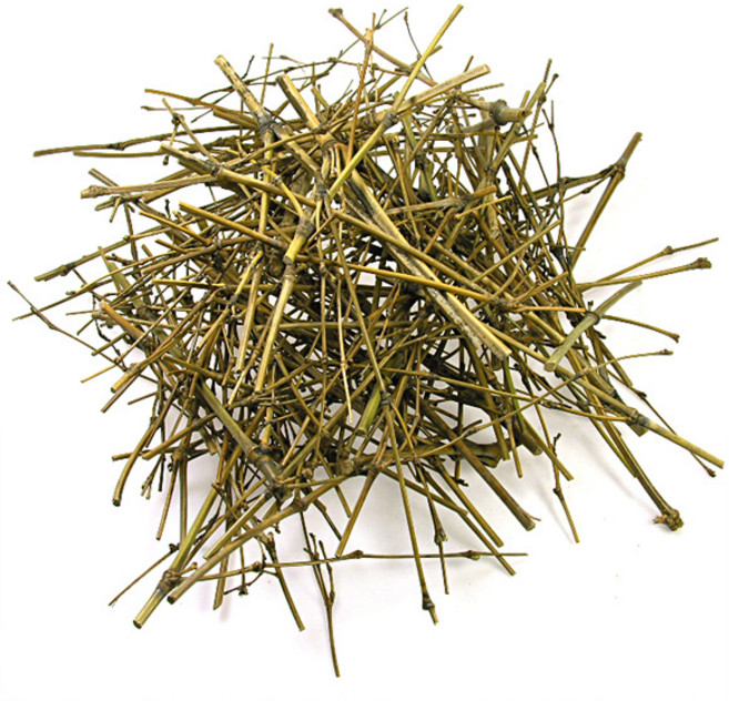 퍼니스쿨 천연나무조각 100g 천연나무 공예 나무조각 diy 콜크, 1세트, 6. 잔가지