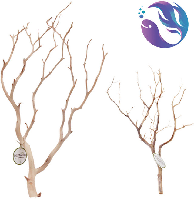 샌딩 만자니타 유목 S M L 어항 레이아웃 인테리어, 세틀 샌딩 만자니타 유목 S, 1개