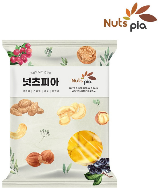 넛츠피아 건망고, 500g, 1개