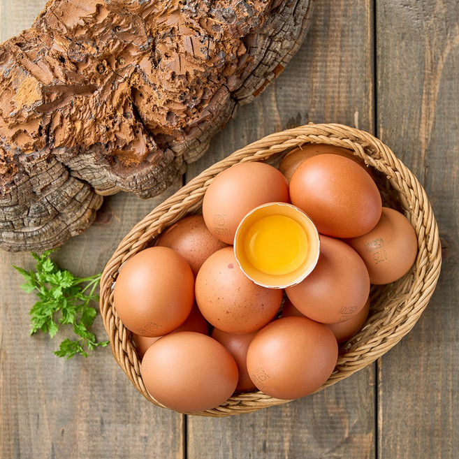 난각1번 자연방사 상황버섯 먹여 키운 무항생제 유정란 달걀, 1개, 40구