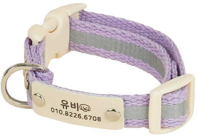 이름각인 야간반사 강아지 고양이 인식표 목줄, 바이올렛, 1개