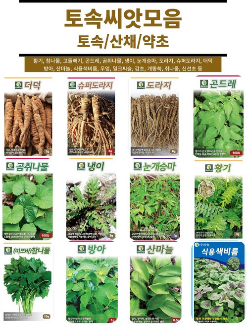 토속 토종 민속 약초 채소 모음 / 도라지 더덕 슈퍼도라지 명이나물 달래 취나물 곰취씨앗 산마늘씨앗, 39. 녹두 30g, 1개