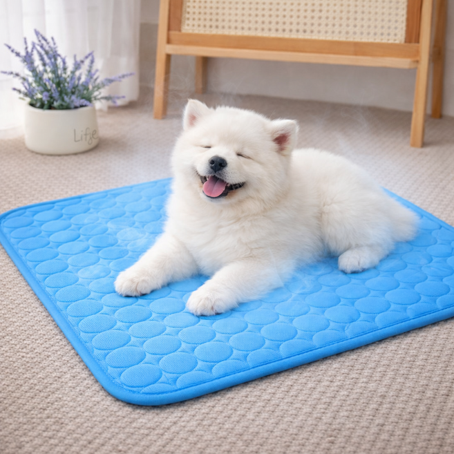 에누온드 여름 강아지 반려 동물 쿨 매트 방석, 1개, 블루