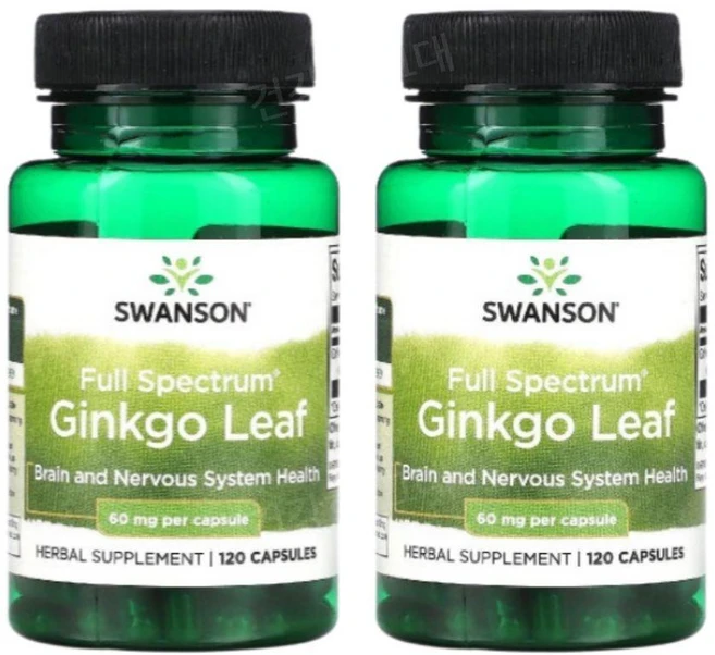 스완슨 은행나무 잎 60mg, 2팩, 120정 - 쿠팡
