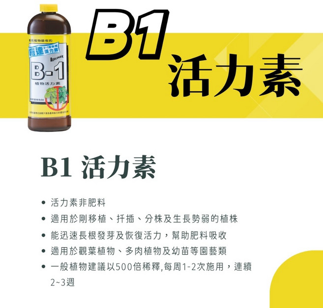 施達 B3 開花肥, 1個, B1 活力素