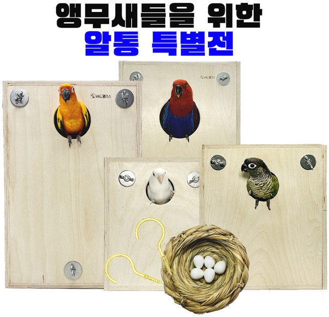 뉴기니아 아마존 앵무새 알통 둥지 번식 앵무새 용품 앵무새 알통 코뉴어 카이큐 퀘이커 모란 나무집, 4 소형 알받이, 1개, 나무