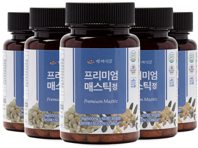 백세식품 매스틱정 프리미엄 매스틱검 HACCP, 600g, 5개
