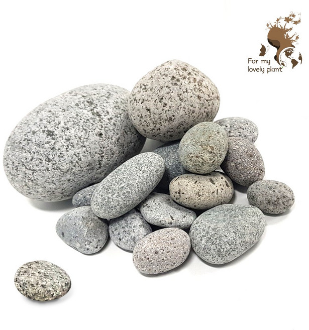 거목산업사 에그스톤 15kg 화분 장식돌 조경 어항 테라리움 정원 인테리어, 3호 50∼70mm