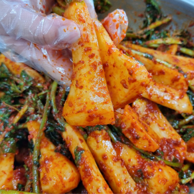 일품김치 총각김치 5kg (국내산), 1개