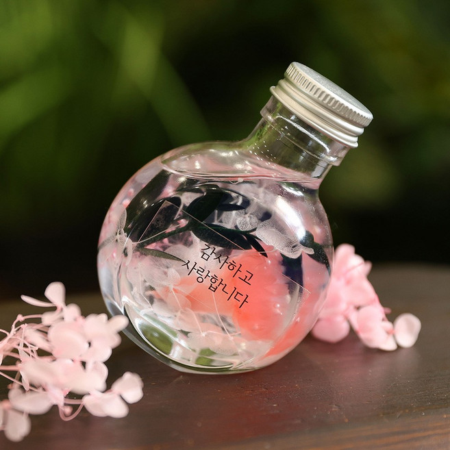 카네이션 하바리움 만들기 어버이날 선물 DIY 프리저브드 플라워, 조명 불포함 카네이션 하바리움 핑크