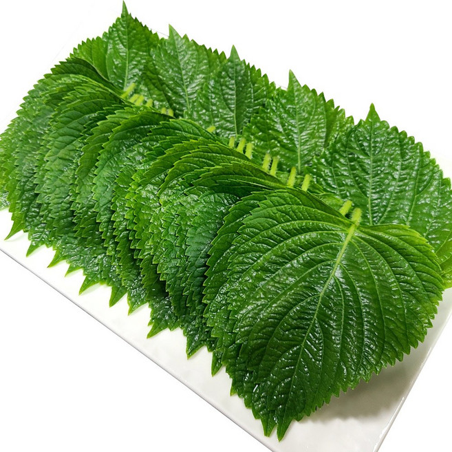 무농약 금산 깻잎 신선하고 향이 가득한 깻잎, 찹찹이 벌크포장 2kg, 1개
