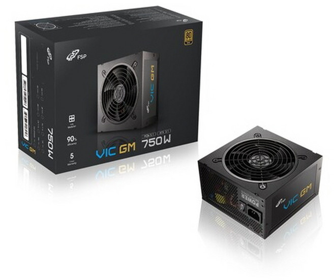 FSP FSP VIC GM 750W 80PLUS골드 풀모듈러 ATX 3.1
