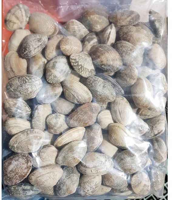 피바지락 600g 해물탕, 1개