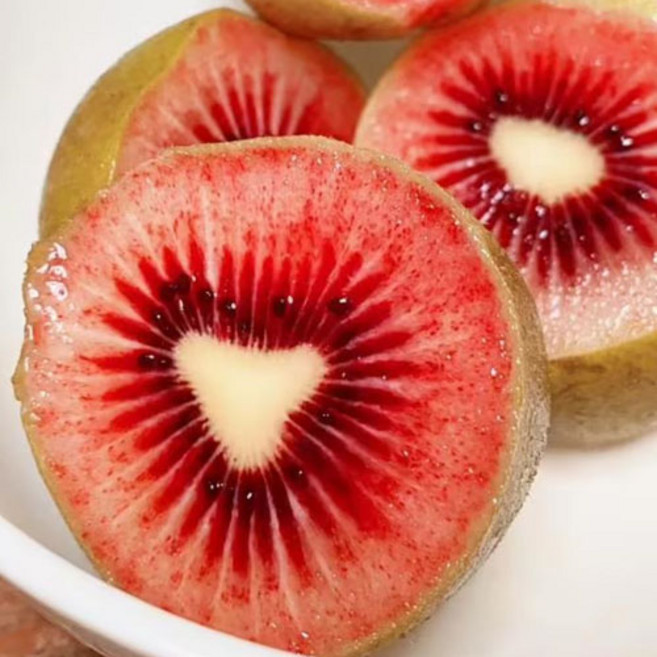 [당도선별] 과즙폭탄 제스프리 루비 레드키위, 1개, 10개(중소과)