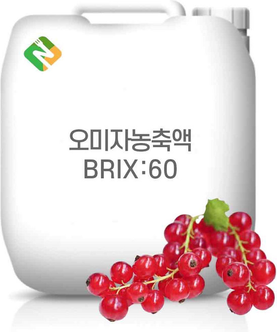 오미자농축액 60Brix 200g 샘플, 1