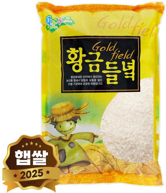 현대농산 국산 황금들녁 백미 쌀 4kg, 1개, 상등급