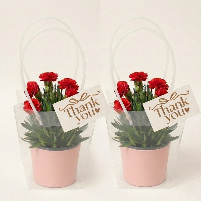 [가정의달] 어버이날 카네이션 화분 선물세트 (심플리+메시지카드+쇼핑백 풀구성), 2개, 카네이션 레드 & 화분 핑크