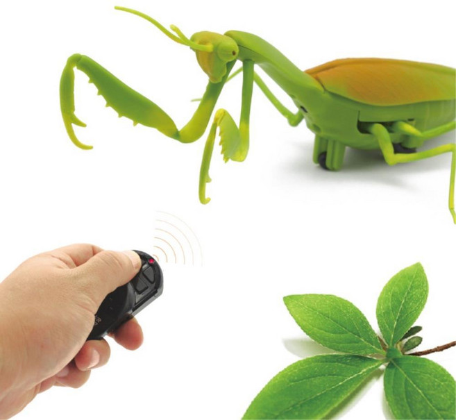 지능발달 조종하는 사마귀 곤충 인형 스몰월드 4살 장난감 키덜트 6살