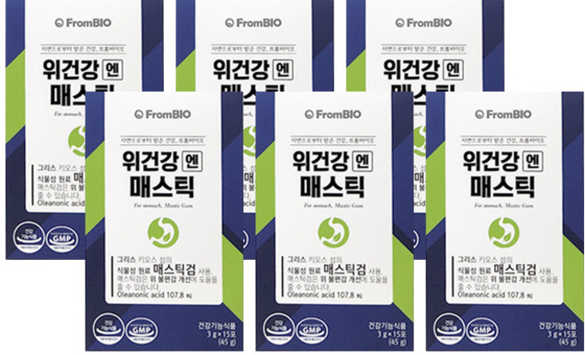 위건강 엔 매스틱, 6개, 45g