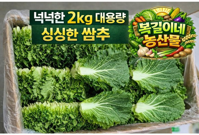 [복길이농산물] 국내산 쌈추 2kg 1박스, 1개