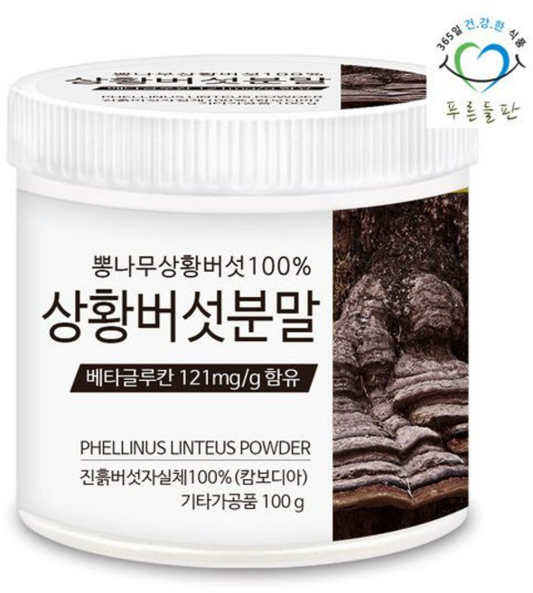 푸른들판 상황버섯 분말 100g 1개 뽕나무 진흙버섯 가루 차