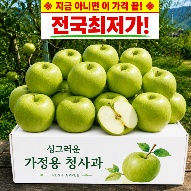 [26년첫출하] 산지직송 썸머킹 아오리 청사과, 1개, 2kg