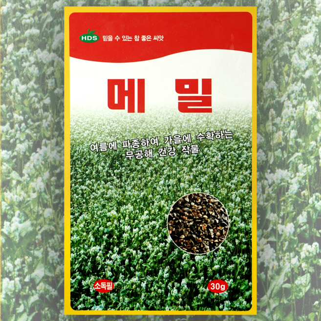 메밀 씨앗 30g 한국대농종묘 메밀종자 메밀재배, 1개