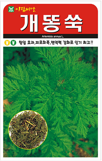 저스틴앤클로이 개똥쑥 20000립 채소산채, 2개