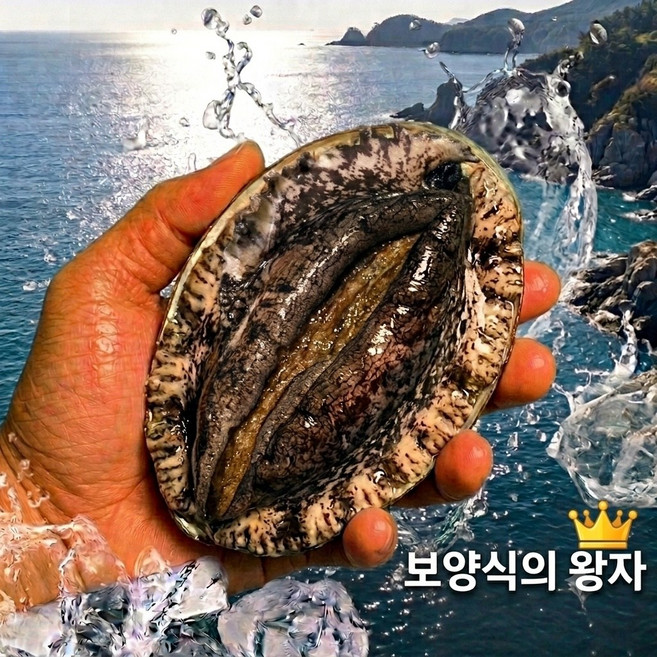 산지직송 보양식의 왕자 완도 활전복, 1박스, 1kg 특대(10-11미)