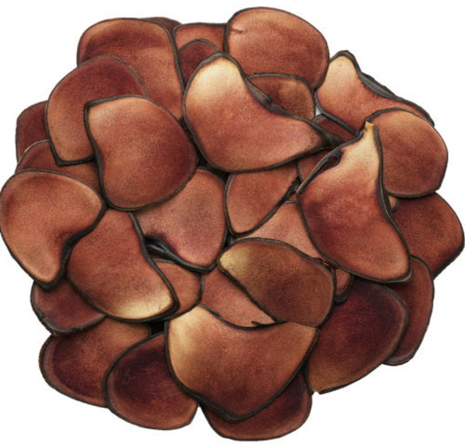 러시아녹용 특분골 75g 흥수녹용 [원산지:러시아연방], 1개