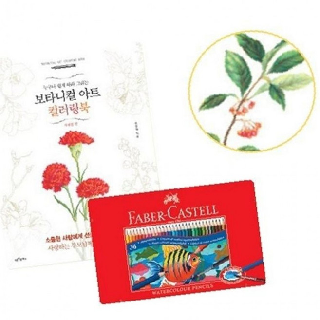 컬러링북 색칠 사계절편 수채색연필 틴 36색, 1개, 상세페이지 참조