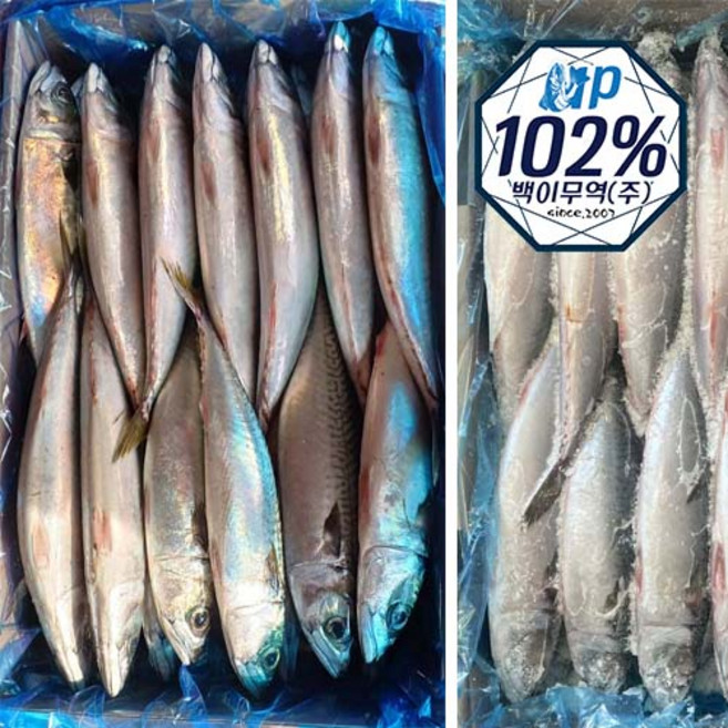 국내산 고등어 10kg(2026년경매), 1박스, 10kg (30미 내외)