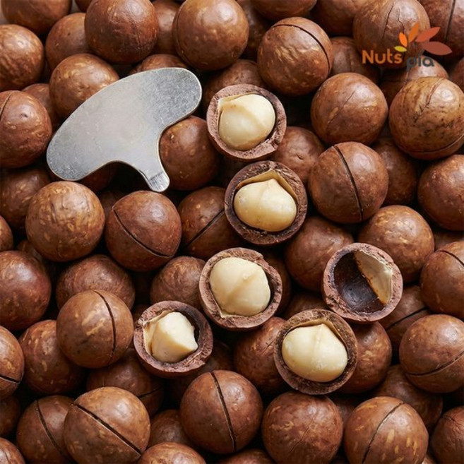 까먹는 통 껍질 마카다미아 200g 견과류, 1개