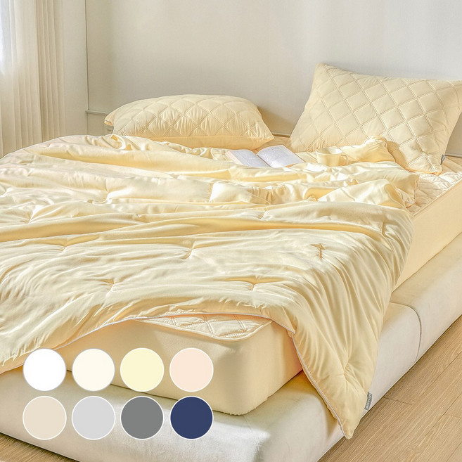 데시뉴 뉴노멀 항균 다운필 간절기 차렵이불