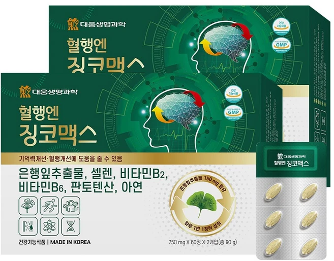 대웅생명과학 혈행엔 징코맥스, 120정, 2개 - 쿠팡