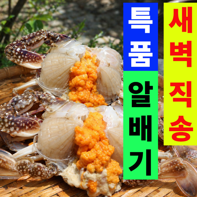 [암꽃게1등A급초초특가] 국내산 알배기 암꽃게 연평도, 1개, 2kg(알배기A등급)