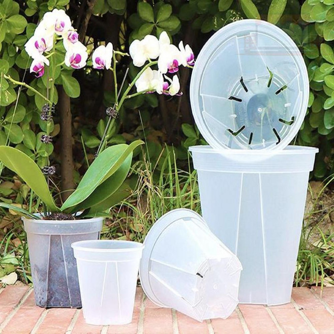 워럭이 슬릿화분 15cm 투명 소형화분