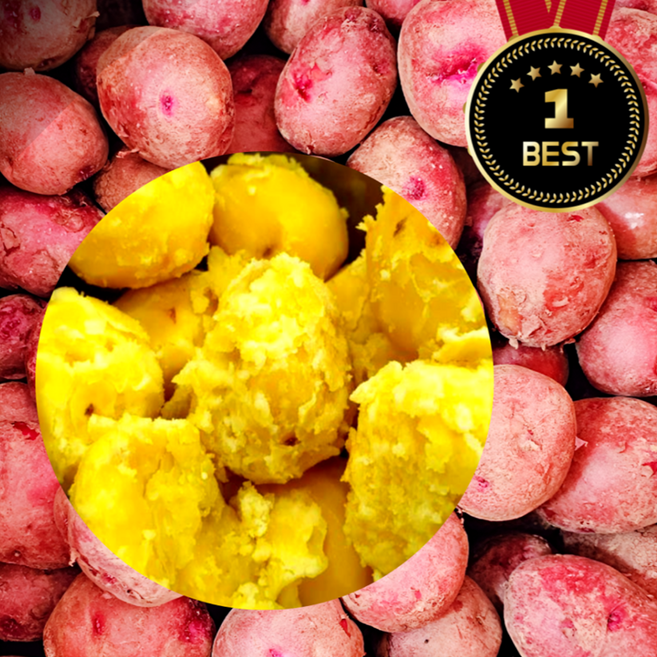 [프리미엄특가] 신선한남해 달달포슬 카스테라 홍감자, 1박스, 대 1.5kg