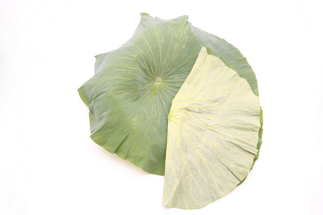 국내산 냉동연잎 연잎밥 생연잎 산지직송, 10kg, 1개