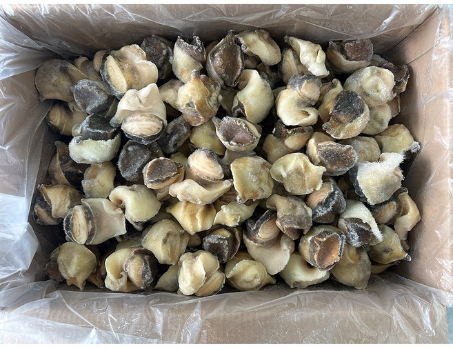 힘찬푸드 자숙 참소라살 소라장 피뿔고둥살, 1박스, 10kg