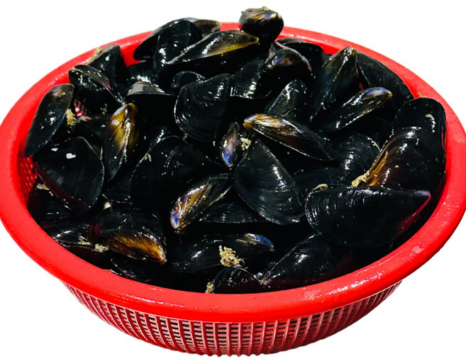 하태푸드 국산 홍합 남해안 당일채취하여 손질 세척, 1개, 5kg